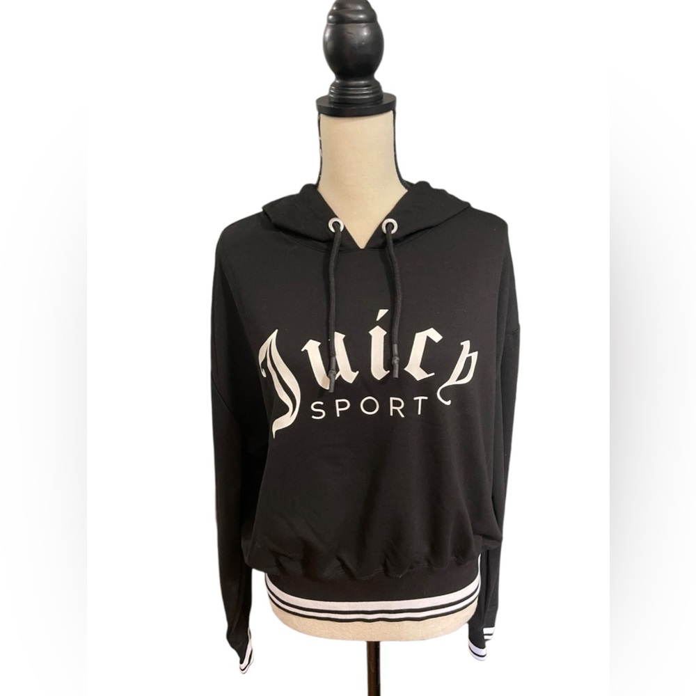 EUC Juicy Couture Logo Hoodie Size L - Picture 2 of 10